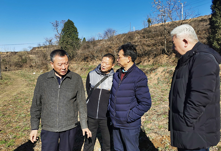 2024.11.29王总、郭总、韩局、陈主任等里铺基地