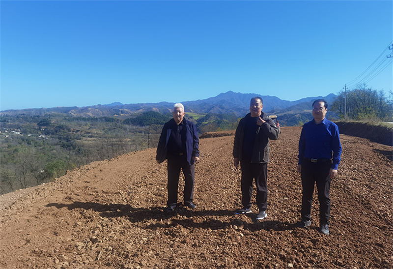 2023.11.1郭局、王总在里铺村育苗基地