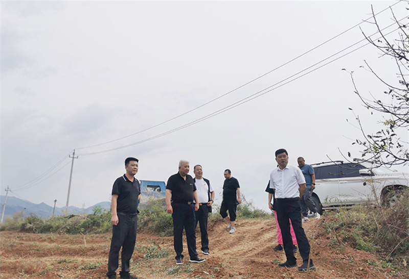 2023.9.17卢氏里铺村（郭局、王总、郭总）